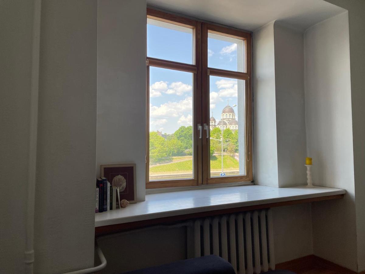 A Cozy Apartment With A Wonderful View Of The River In The Old Town Of וילנה מראה חיצוני תמונה